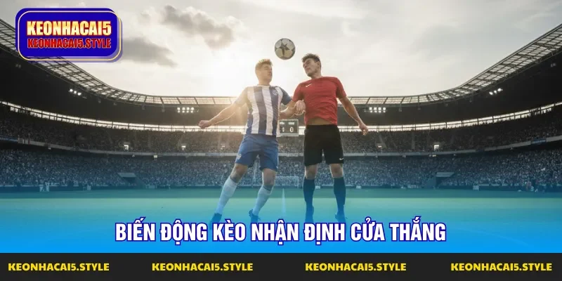 du lieu thuc te soi keo bong da nha cai an toan