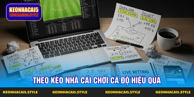 theo keo nha cai thao tac hieu qua khi choi ca do