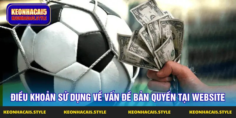 dieu khoan su dung ve van de ban quyen tai website